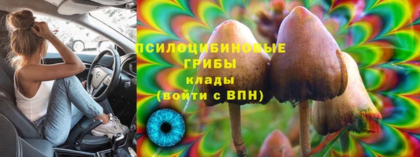 PSILOCYBIN Абинск