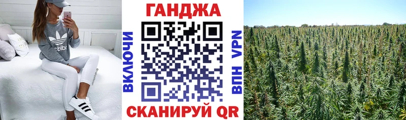 mega ТОР  Уварово  Бошки Шишки гибрид 